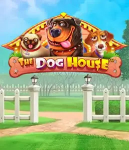 Experience Pragmatic Play's The Dog House, featuring a fun-filled journey among playful pups. Engage in features such as sticky wilds, aimed at providing exciting wins. A must-try for pet lovers an amusing theme with a chance for big wins.