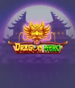 Embark on a mythical quest with Dragon Hero Slot by Pragmatic Play, featuring vivid visuals of mighty dragons and heroic battles. Discover a land where fantasy meets adventure, with featuring treasures, mystical creatures, and enchanted weapons for a captivating gaming experience.